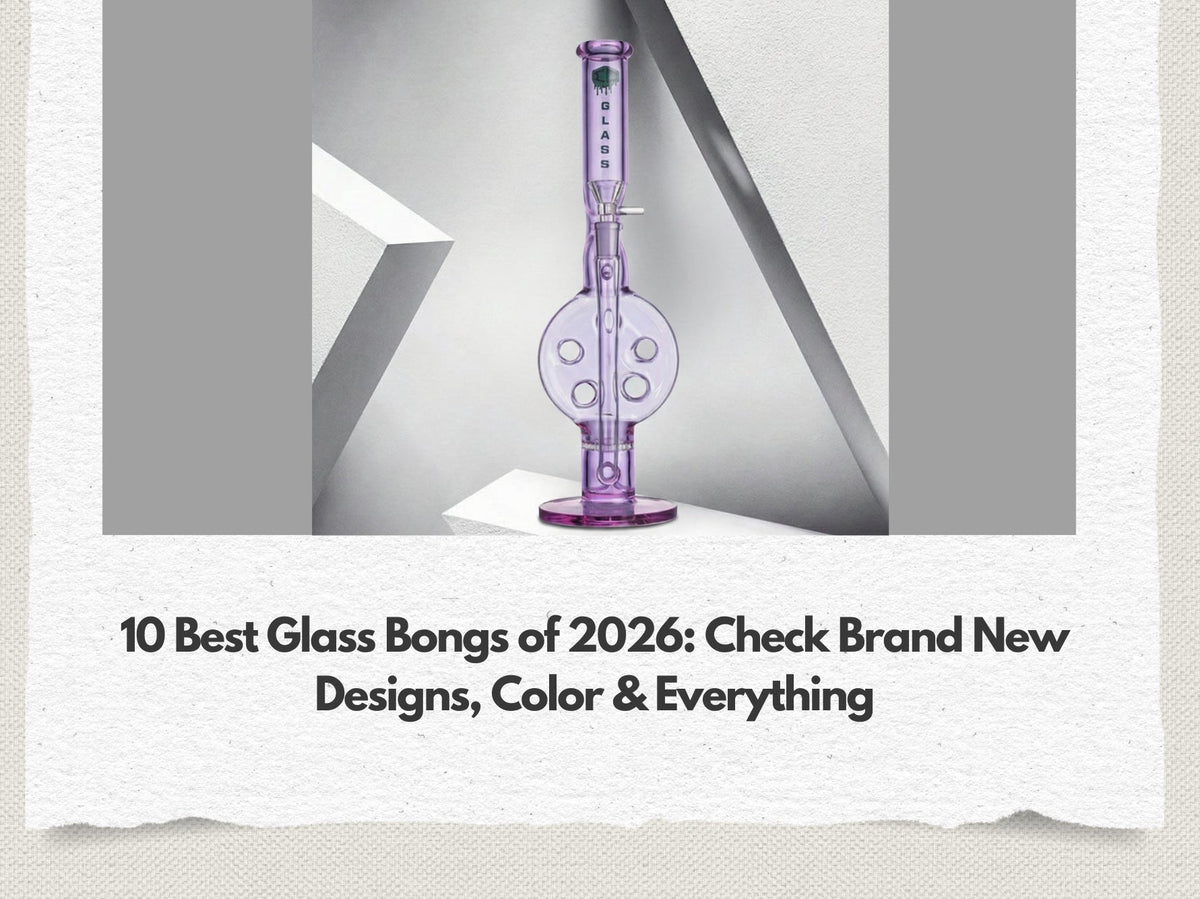 10 Best Glass Bongs of 2026: Smart Picks for Every Smoker