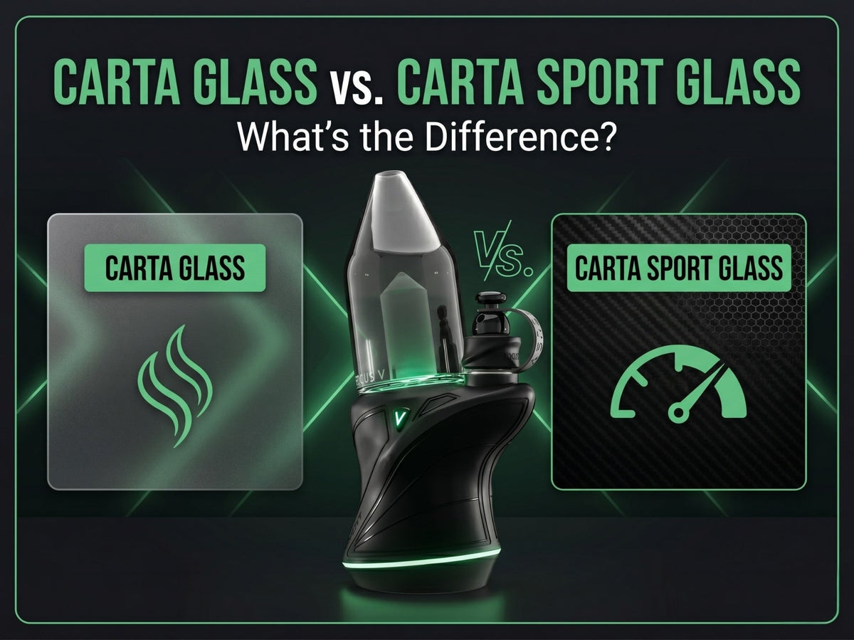 Carta Glass vs Carta Sport Glass: What’s the Difference