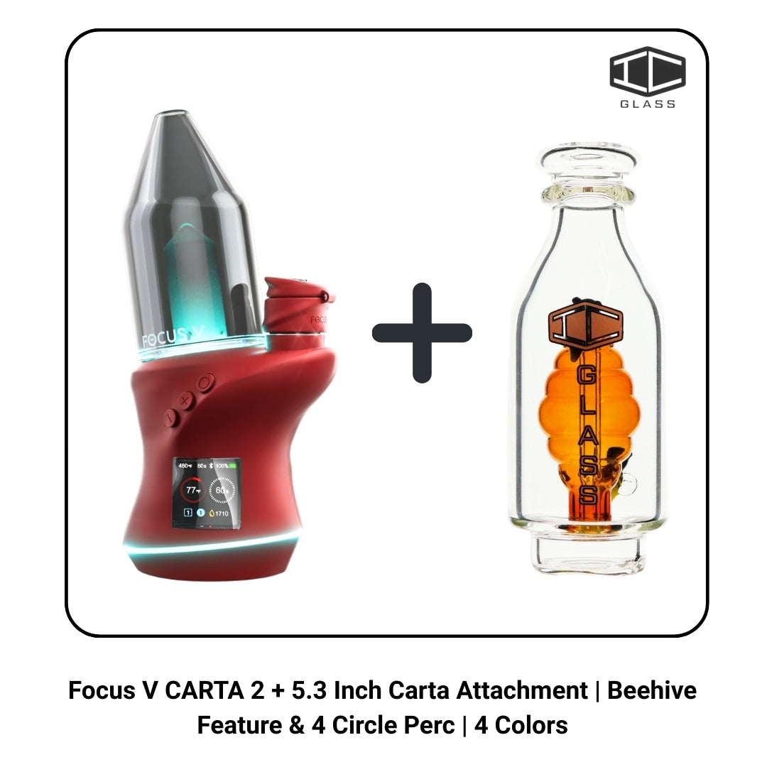 Focus V CARTA 2 + 5.3 Inch Carta Attachment | Beehive Feature & 4 Circle Perc | 4 Colors